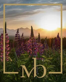 Portrait of Rachel Wisse